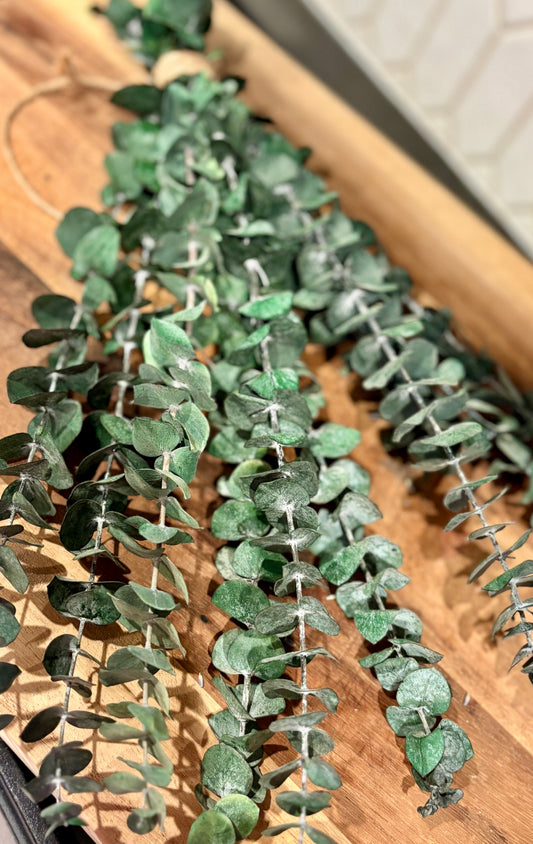 Eucalyptus Shower Plants