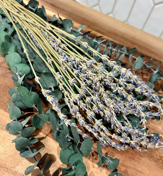 Eucalyptus Shower Plants